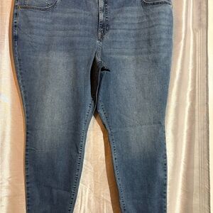 Stylish Blue Women's Skinny Jeans by Terra & Sky NWT